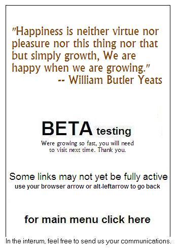 beta launch